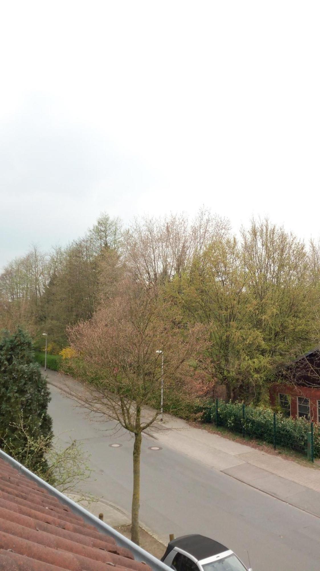 Ferienwohnung Mit Loggia Munster  Exteriér fotografie