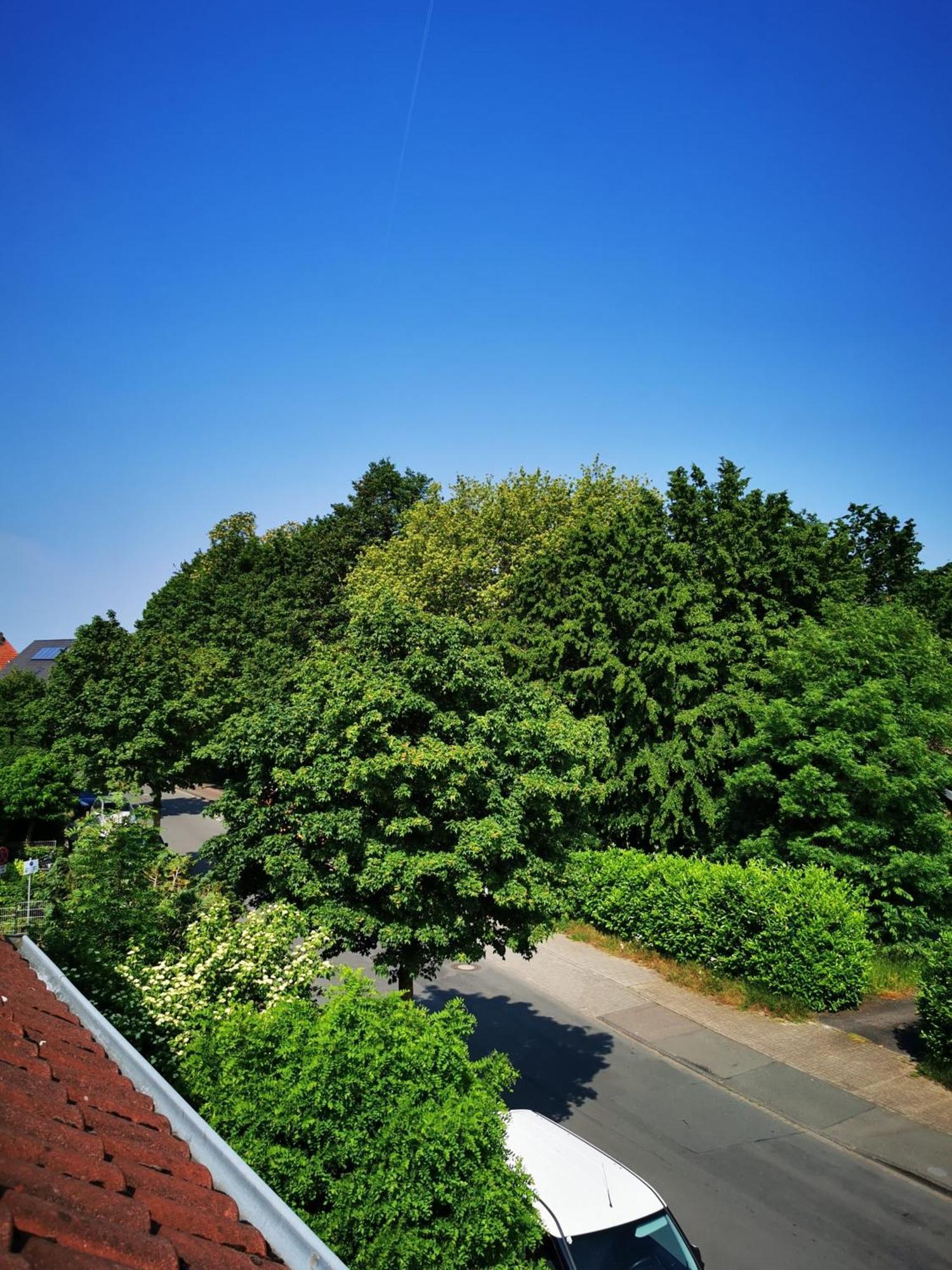 Ferienwohnung Mit Loggia Munster  Exteriér fotografie